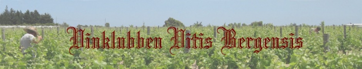 vitisbergensis.com